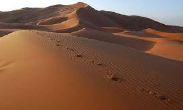 dunas.jpg